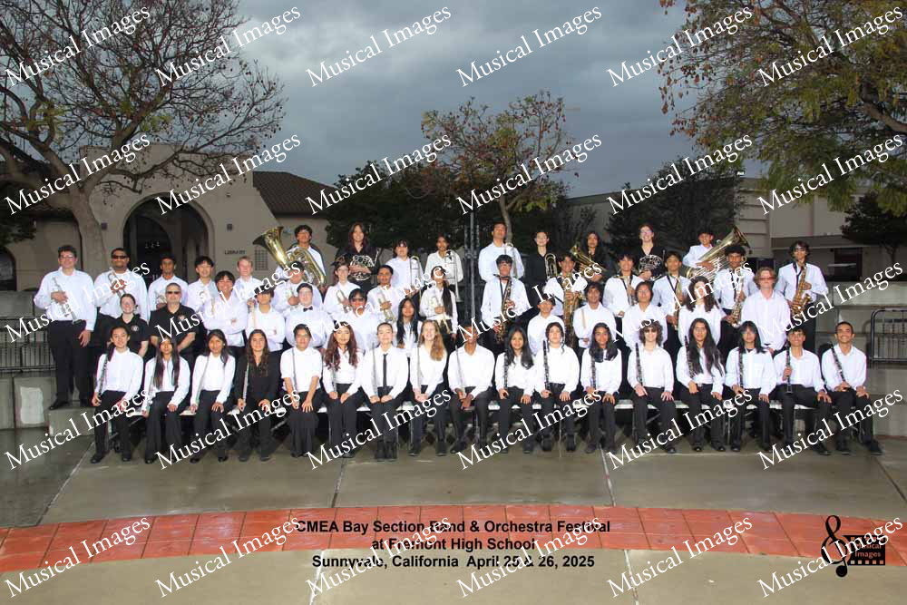 Musical Images